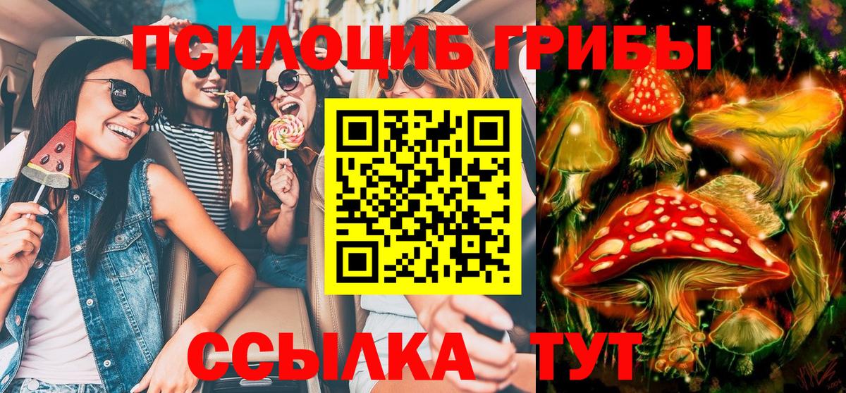 Псилоцибиновые грибы мицелий Тихорецк